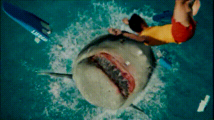 20713_1607717160.gif