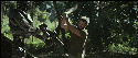6b379_1607753903.gif