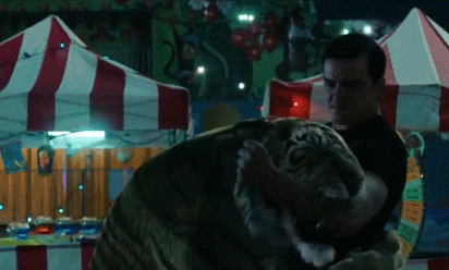 aAF19_1607771765.gif