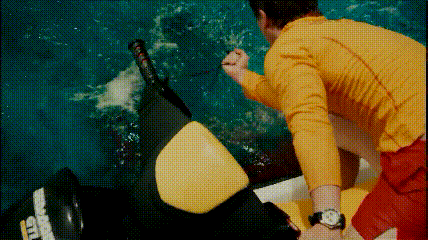 cbe88_1607717168.gif
