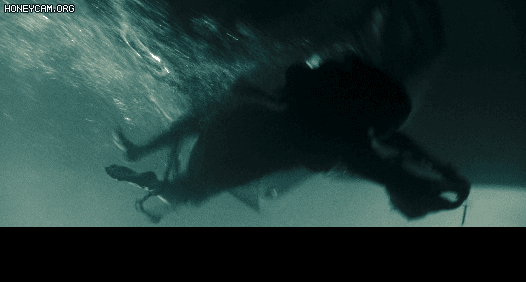 b6281_1609479182.gif