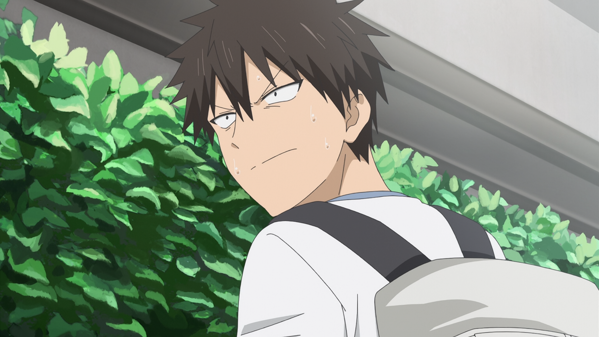 65c19_1610427491.png