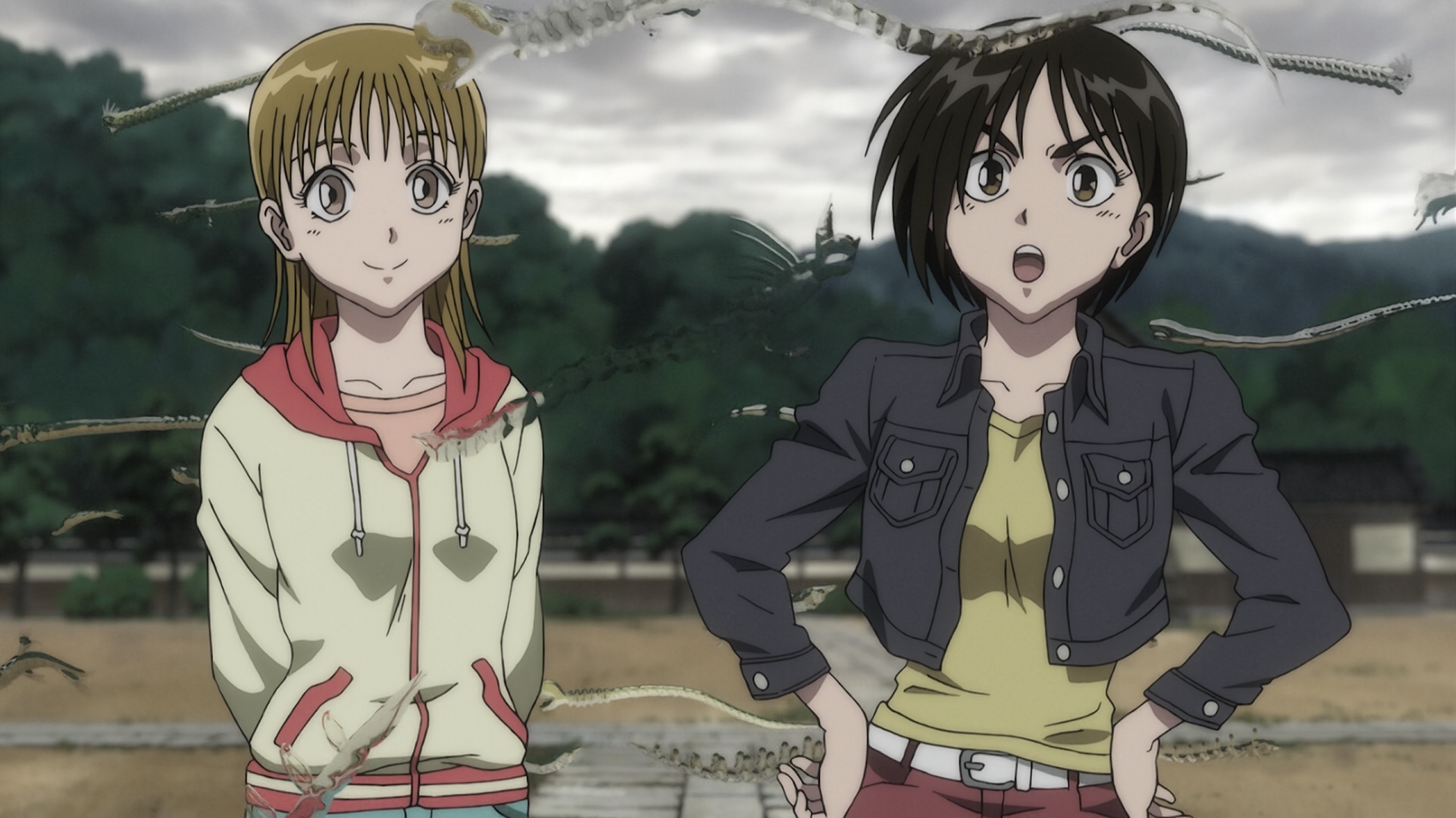 ca2a9_1610427813.png