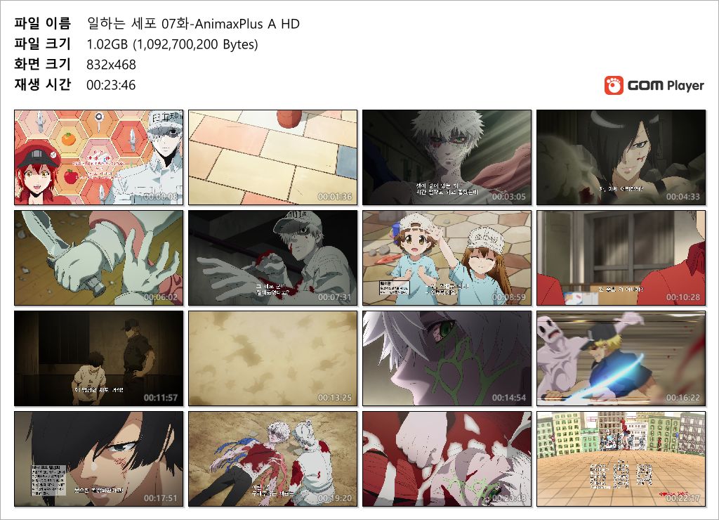 kOXiO_1611127588.jpg