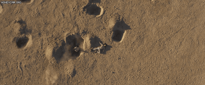 1c84e_1612258602.gif