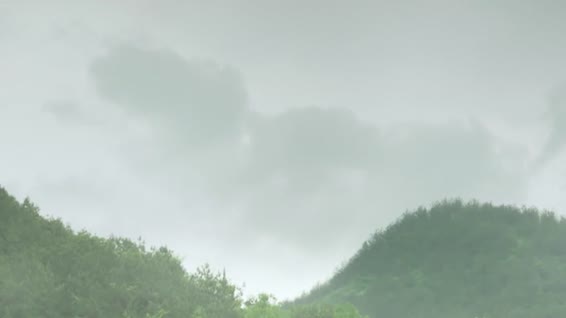 b4750_1613996061.jpg