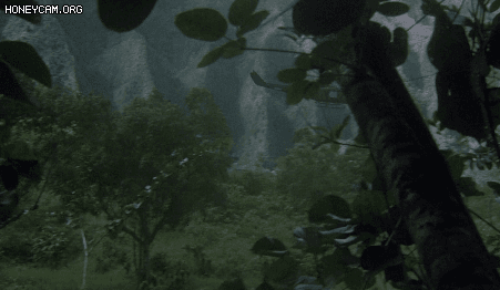 3bff8_1614736599.gif