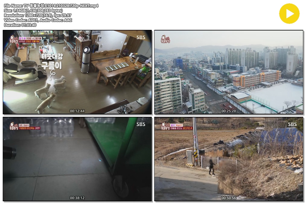 2scNV_1616905837.jpg 2scNV_1616905837.jpg