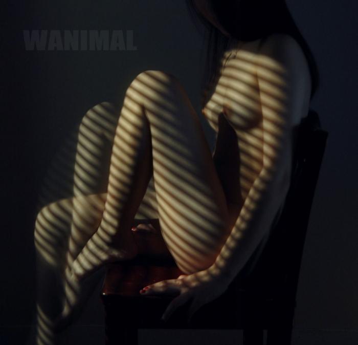 19금 화보 베스트 모음집 1탄 (고퀄주의)