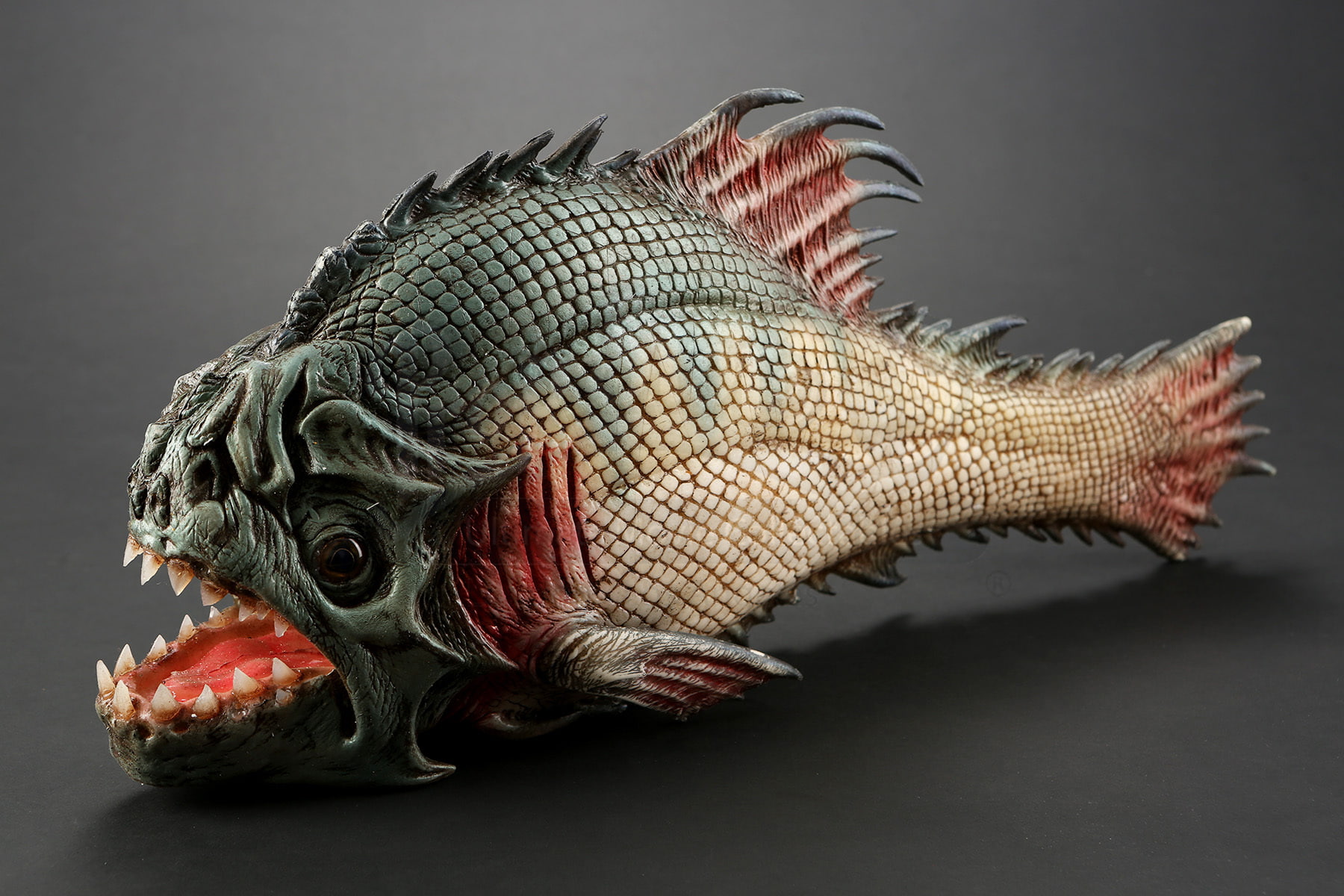 피라냐 배경화면2