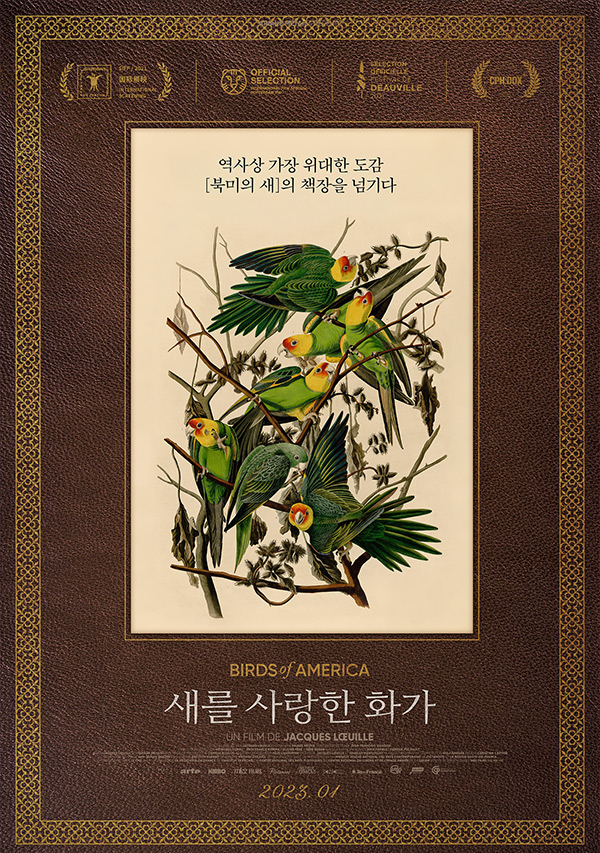 [새를 사랑한 화가]모든 동물의 멸종 다음은 누구?