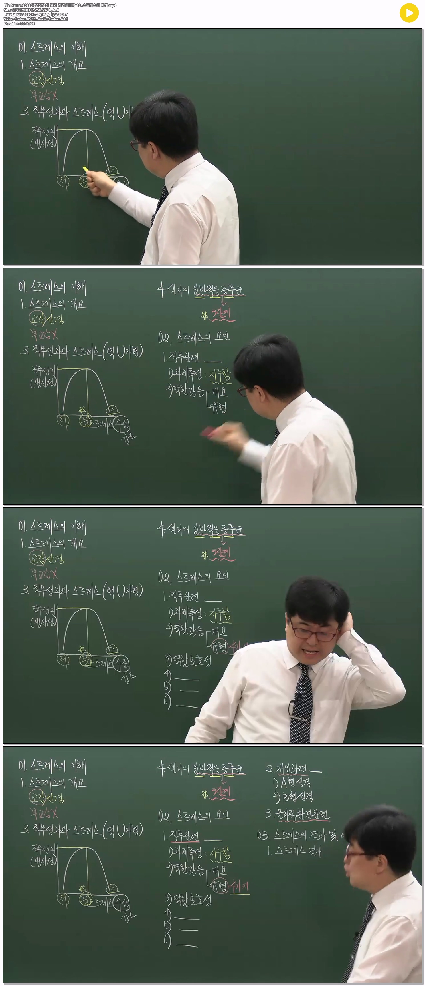 2022 직업상담사 필기 직업심리학 18. 스트레스의 이해