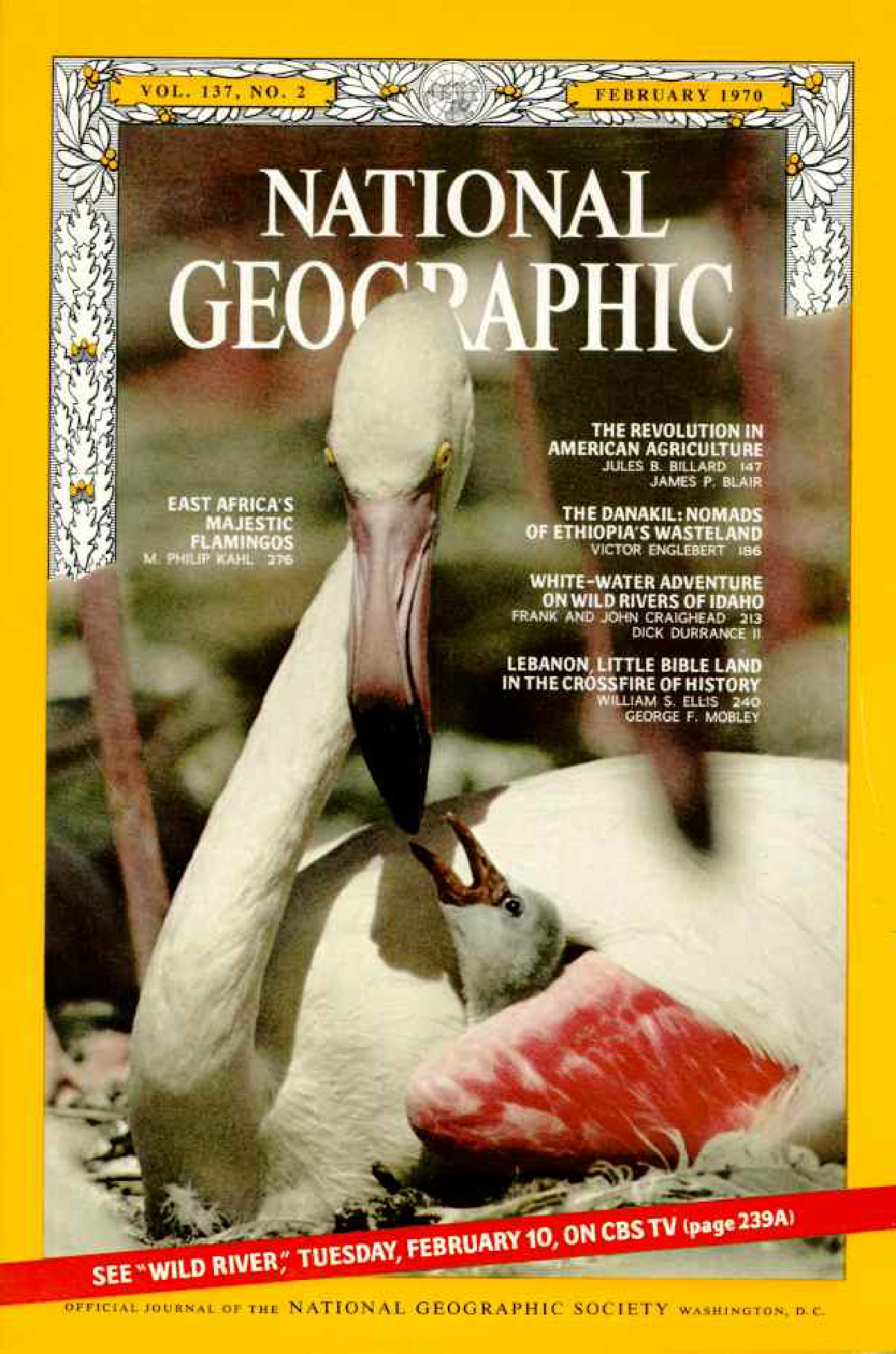[해외잡지] National Geographic 1970-02 137-2 Feb