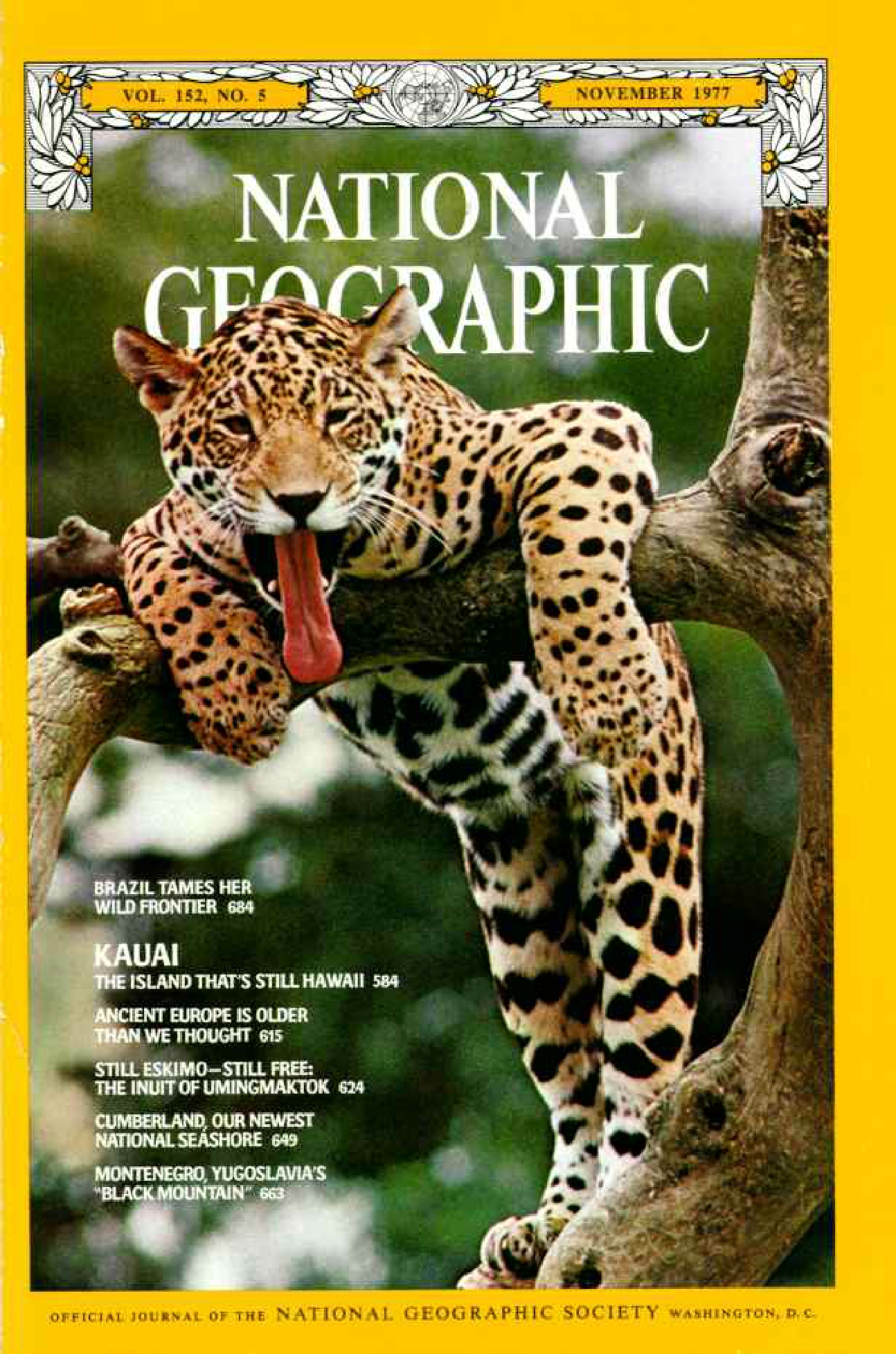 [해외잡지] National Geographic 1977-11 152-5 Nov