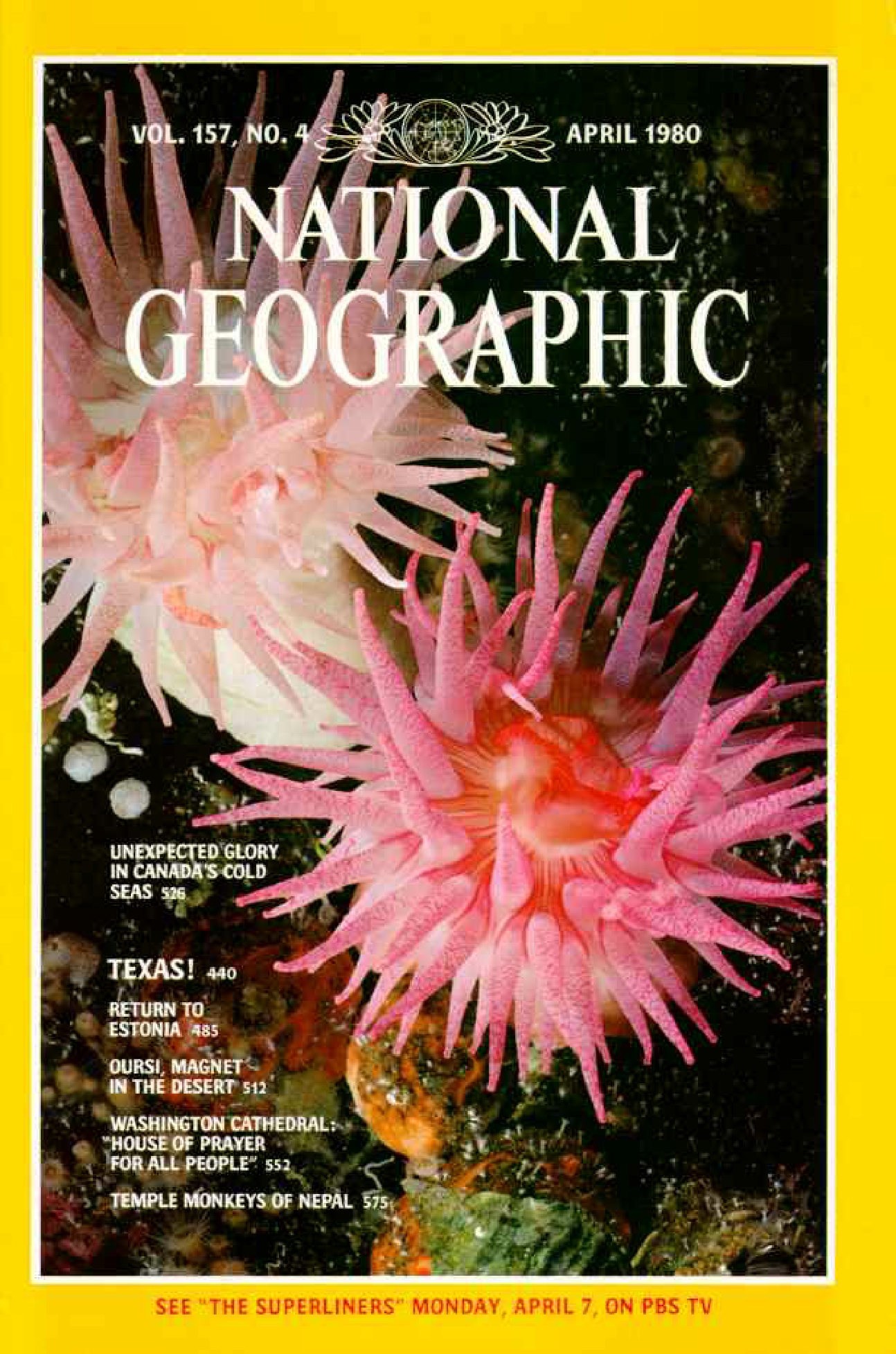 [해외잡지] National Geographic 1980-04 157-4 Apr