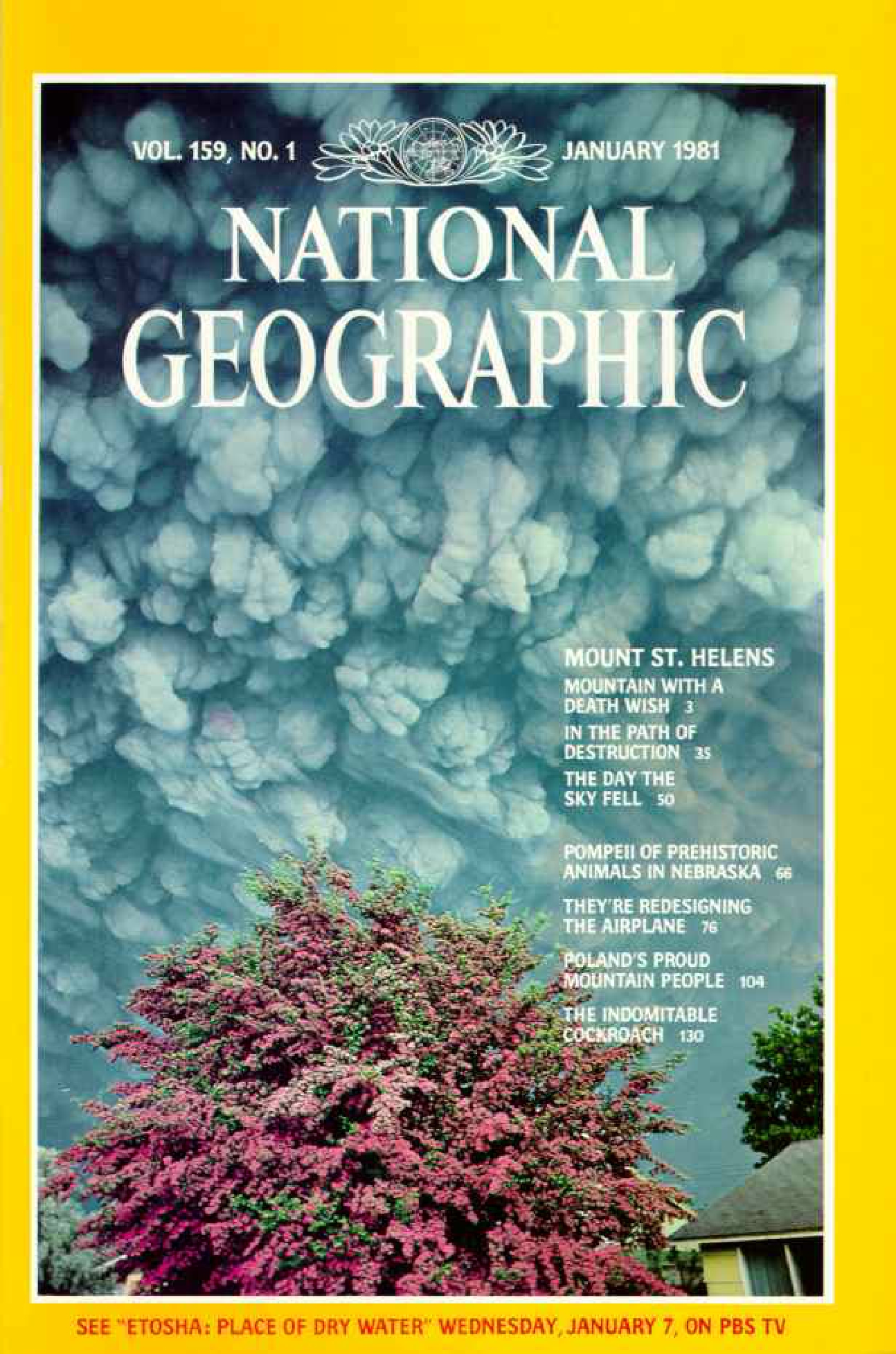 [해외잡지] National Geographic 1981-01 159-1 Jan