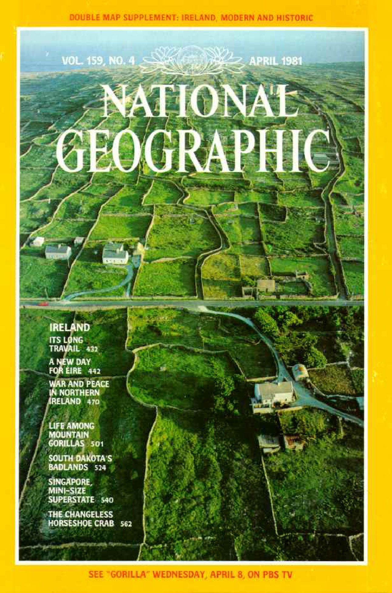 [해외잡지] National Geographic 1981-04 159-4 Apr
