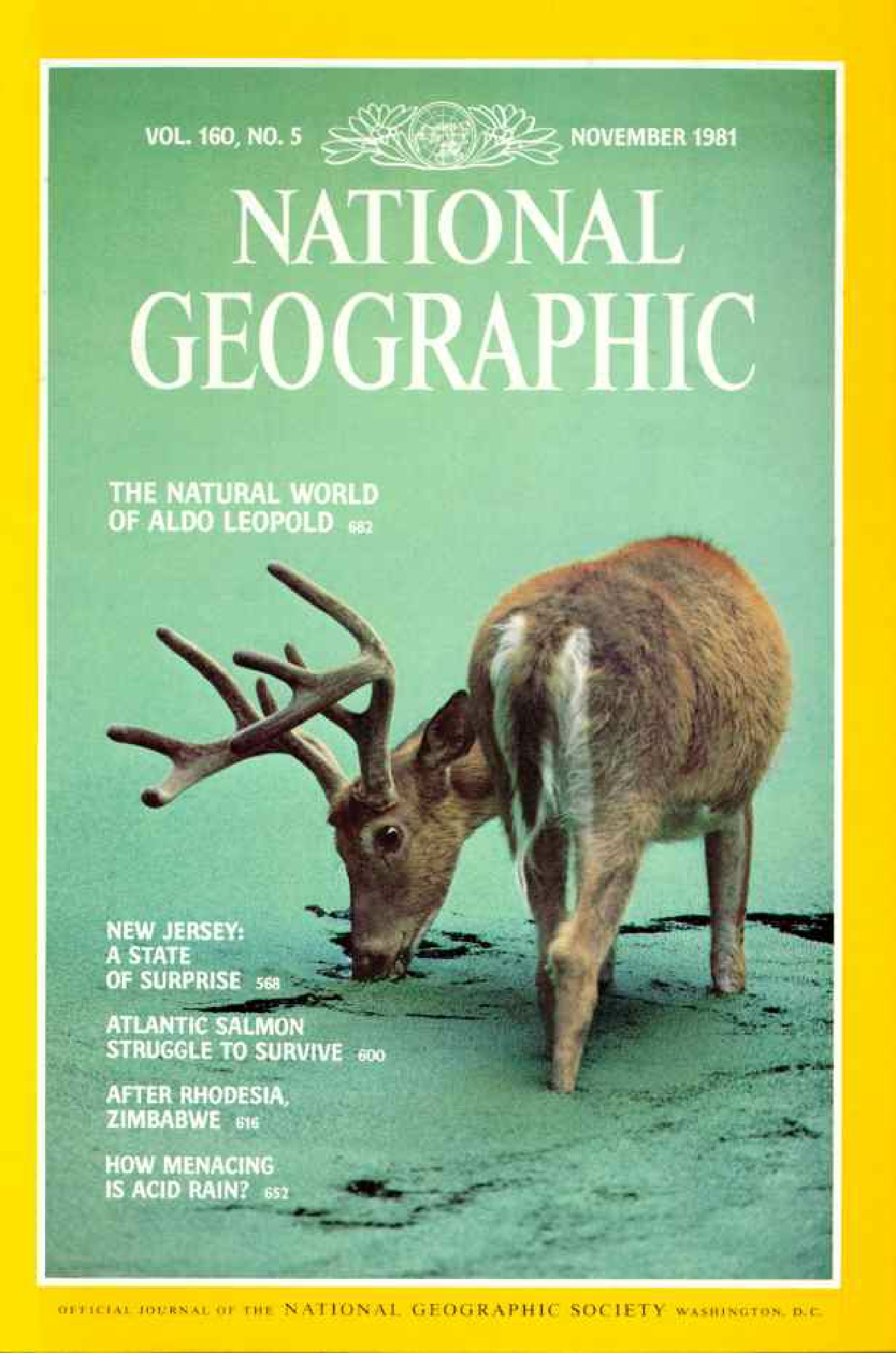[해외잡지] National Geographic 1981-11 160-5 Nov