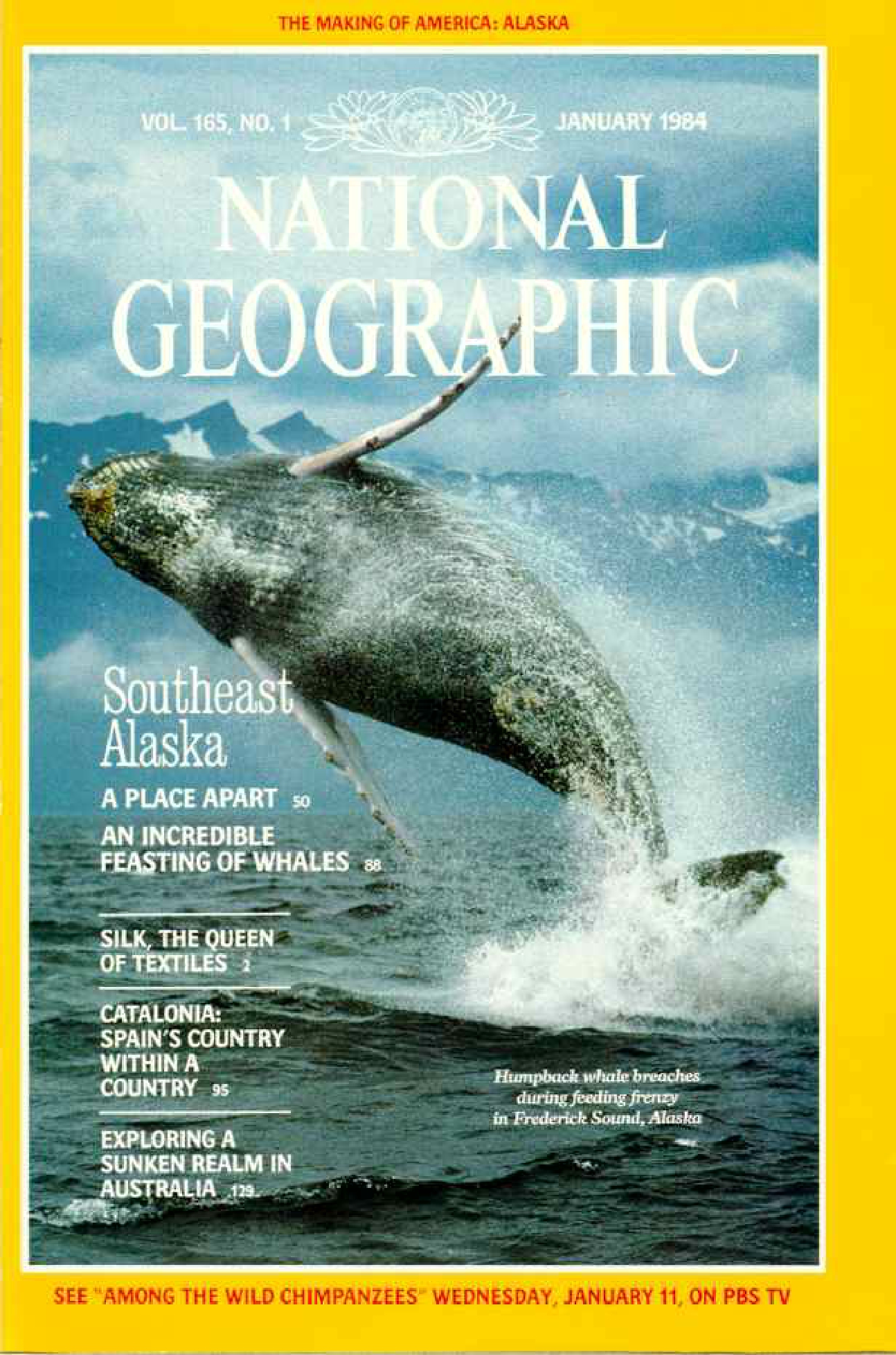 [해외잡지] National Geographic 1984-01 165-1 Jan