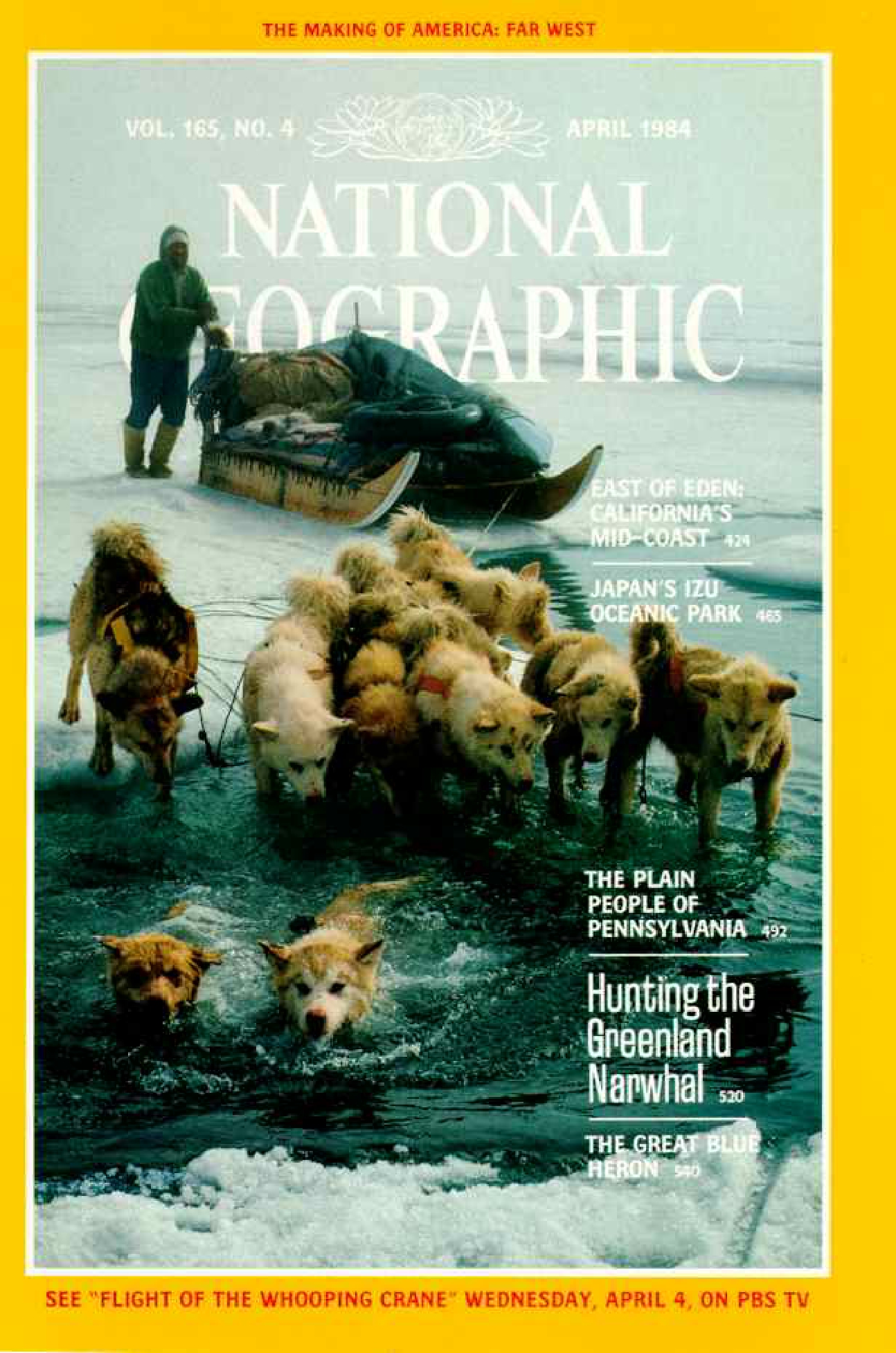 [해외잡지] National Geographic 1984-04 165-4 Apr