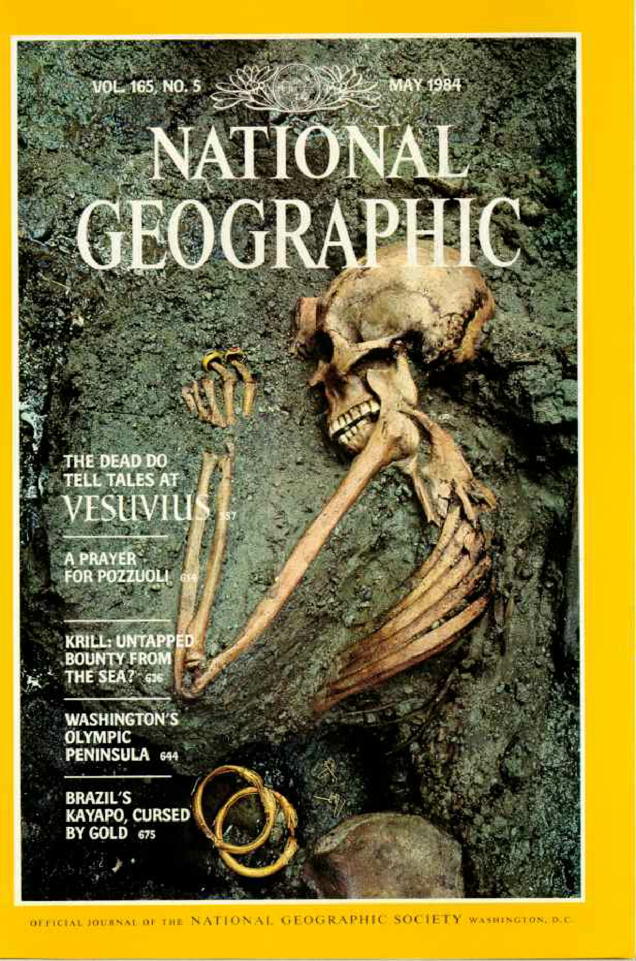 [해외잡지] National Geographic 1984-05 165-5 May