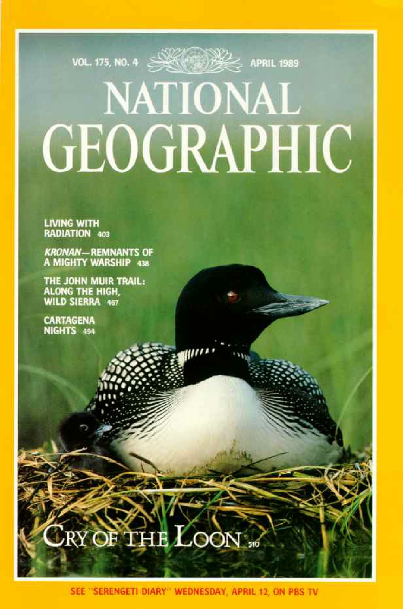[해외잡지] National Geographic 1989-04 175-4 Apr