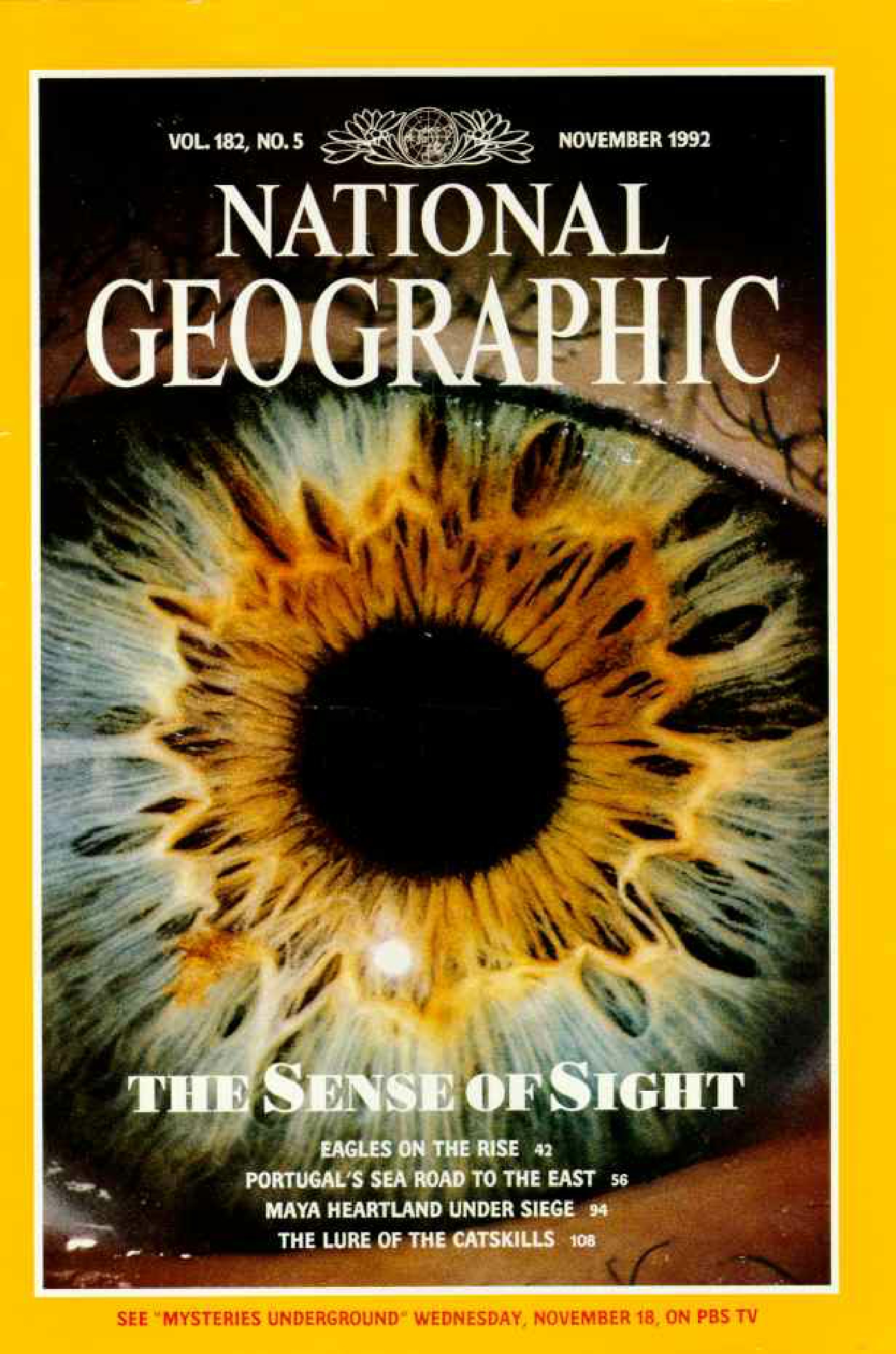 [해외잡지] National Geographic 1992-11 182-5 Nov