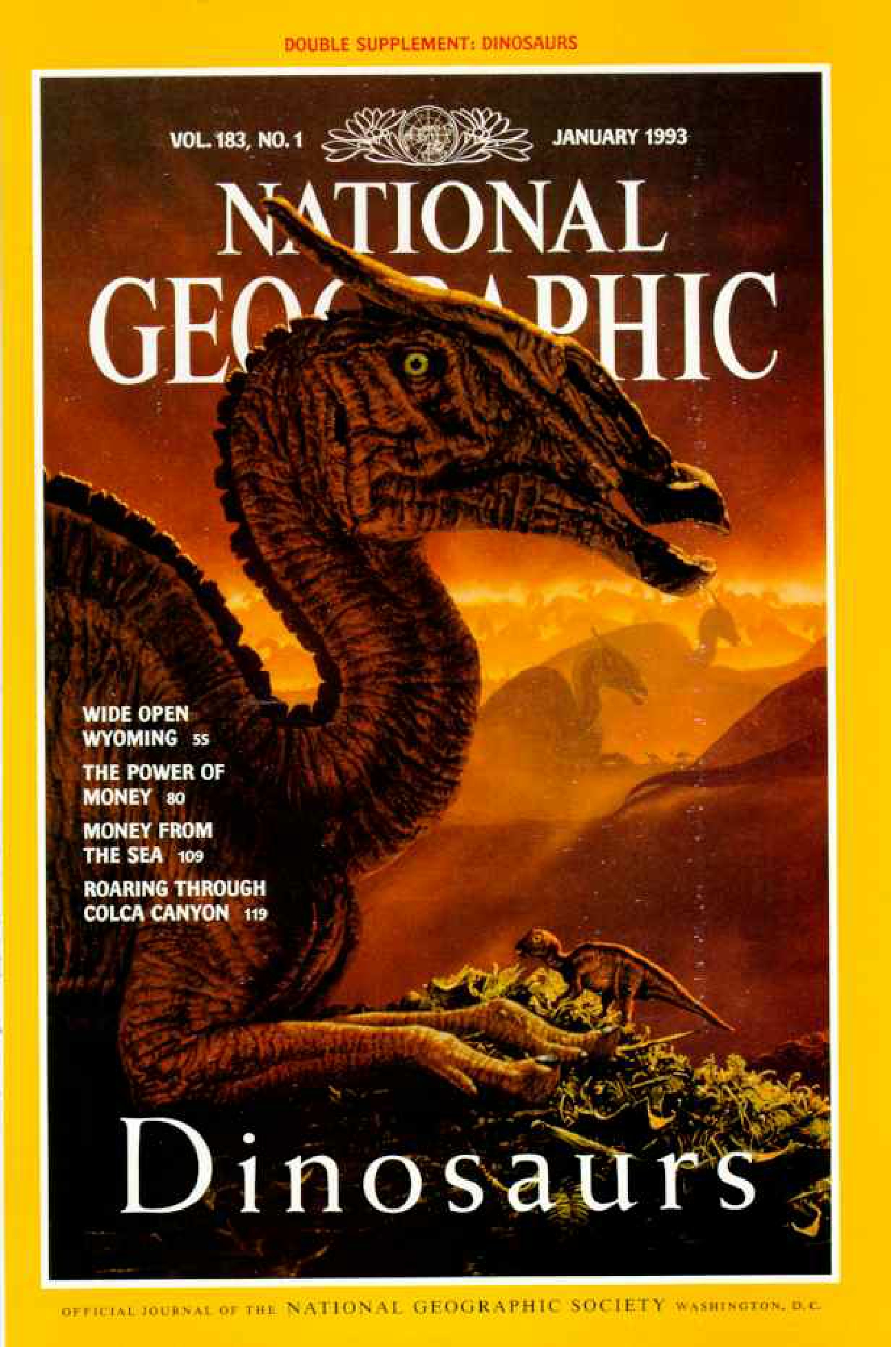 [해외잡지] National Geographic 1993-01 183-1 Jan