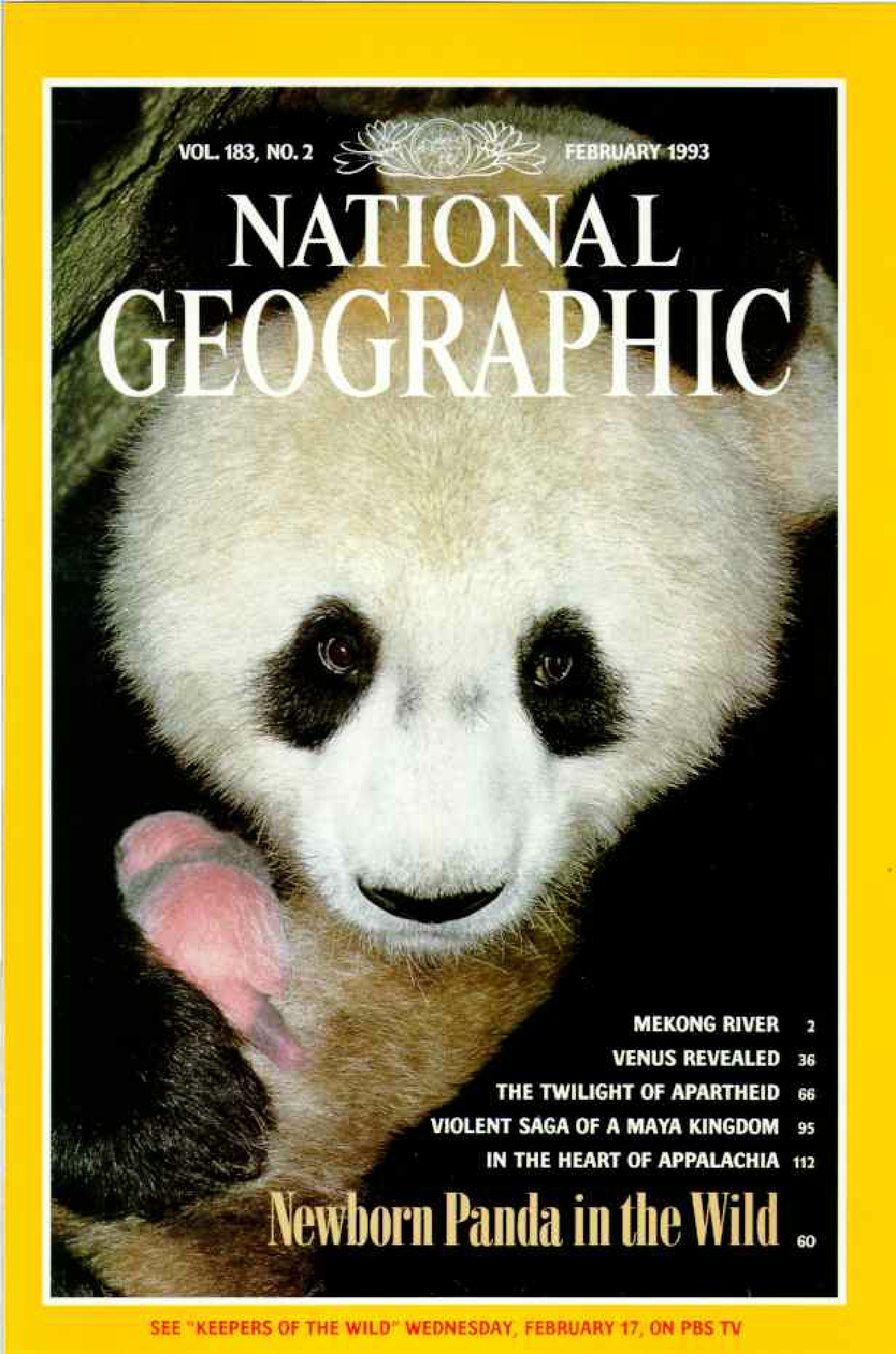 [해외잡지] National Geographic 1993-02 183-2 Feb