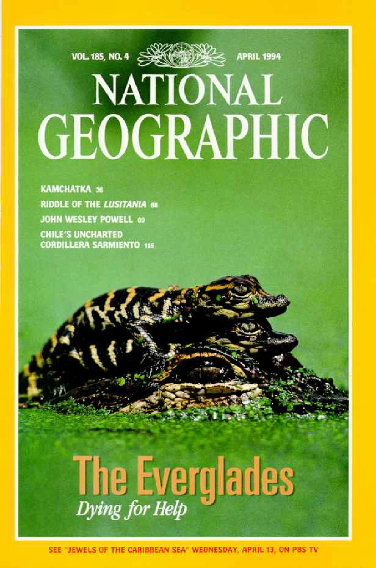[해외잡지] National Geographic 1994-04 185-4 Apr