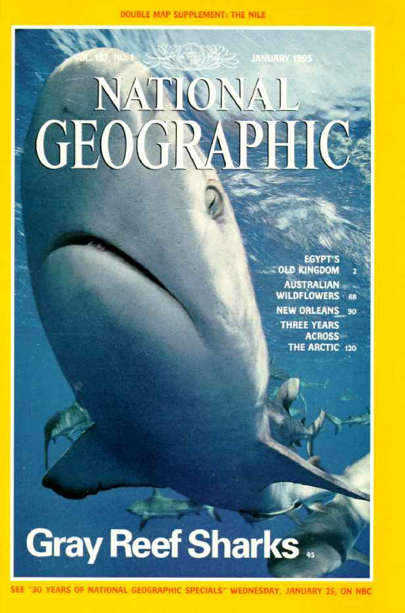 [해외잡지] National Geographic 1995-01 187-1 Jan