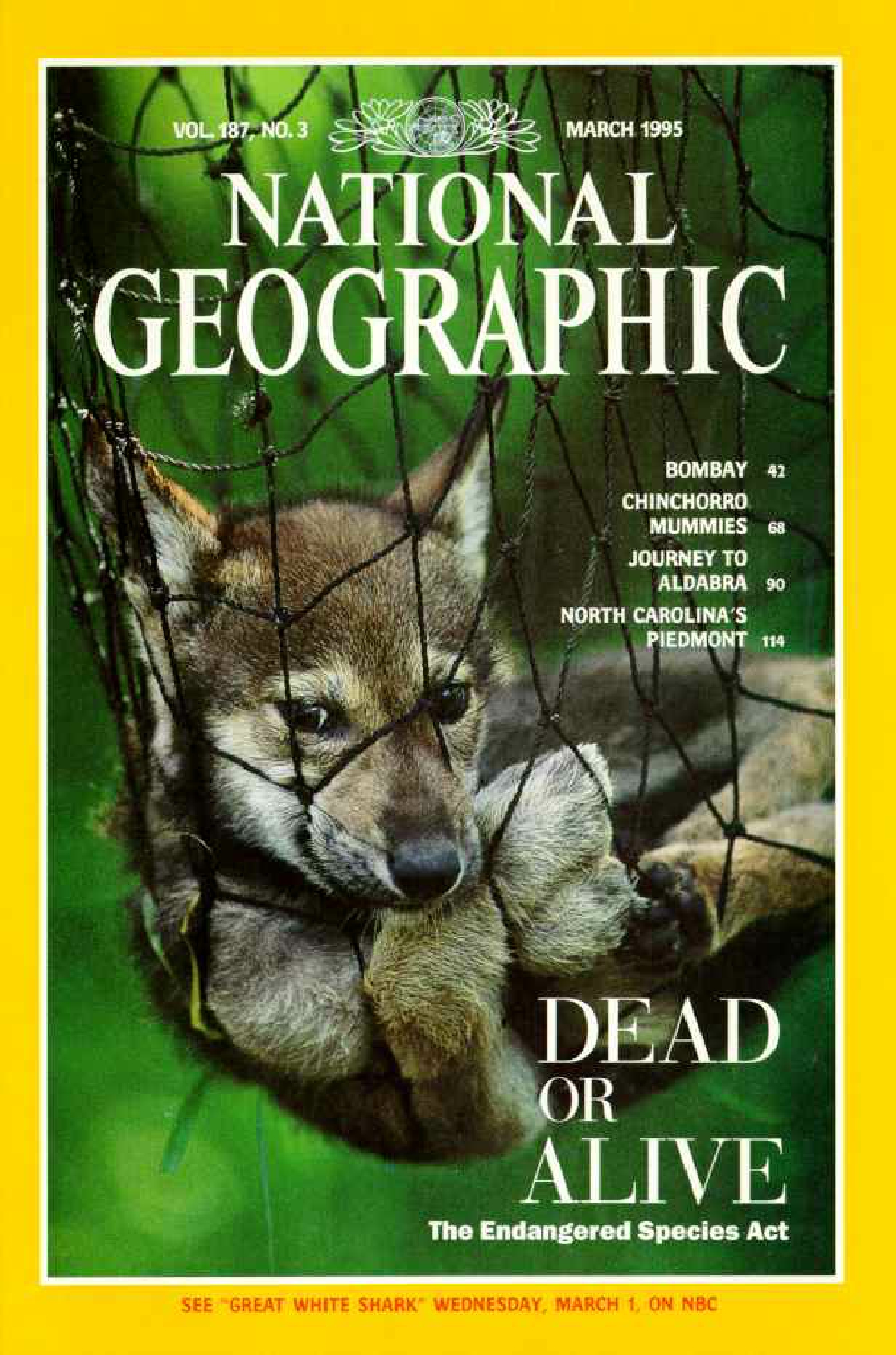 [해외잡지] National Geographic 1995-03 187-3 Mar