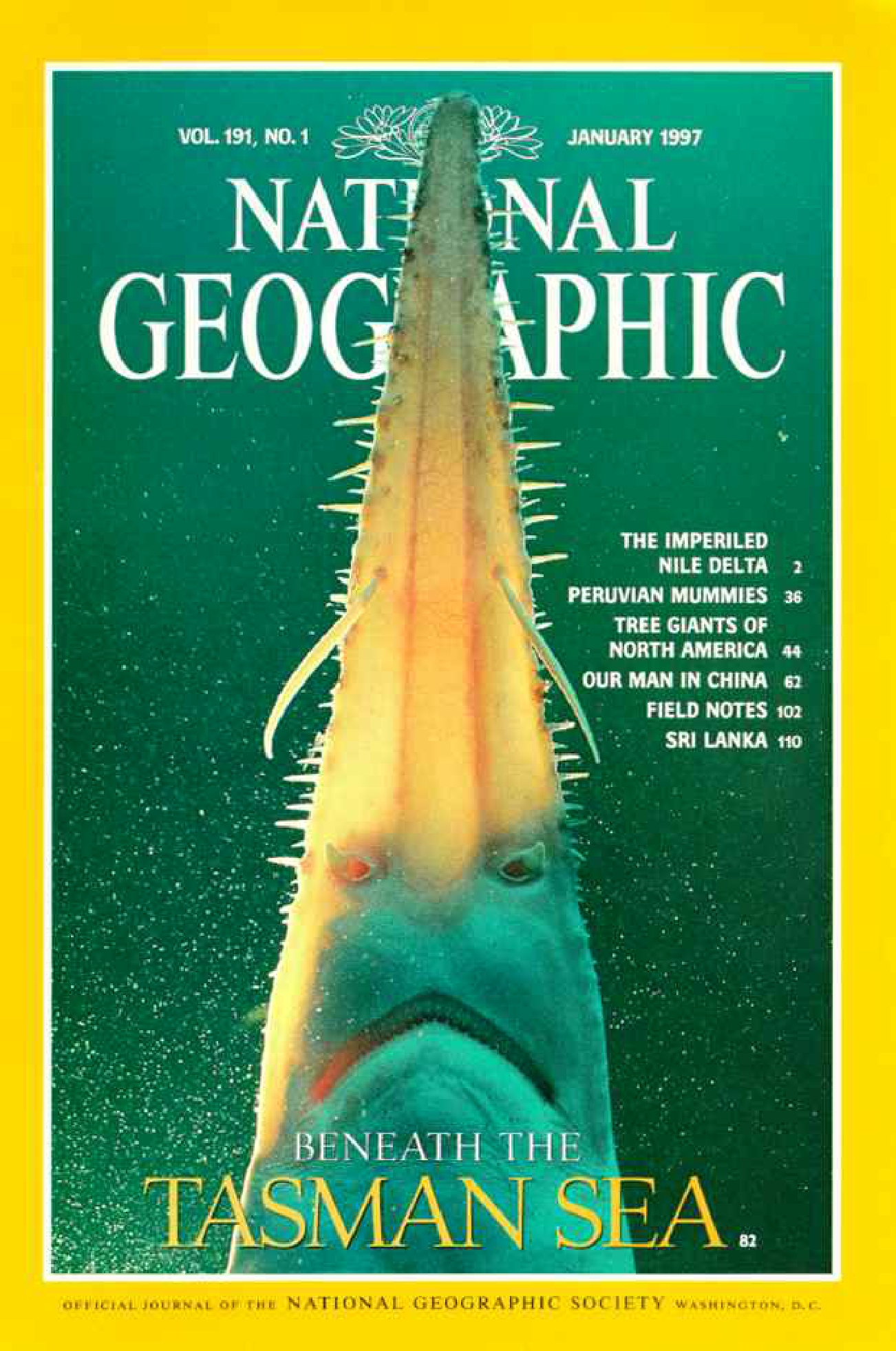 [해외잡지] National Geographic 1997-01 191-1 Jan