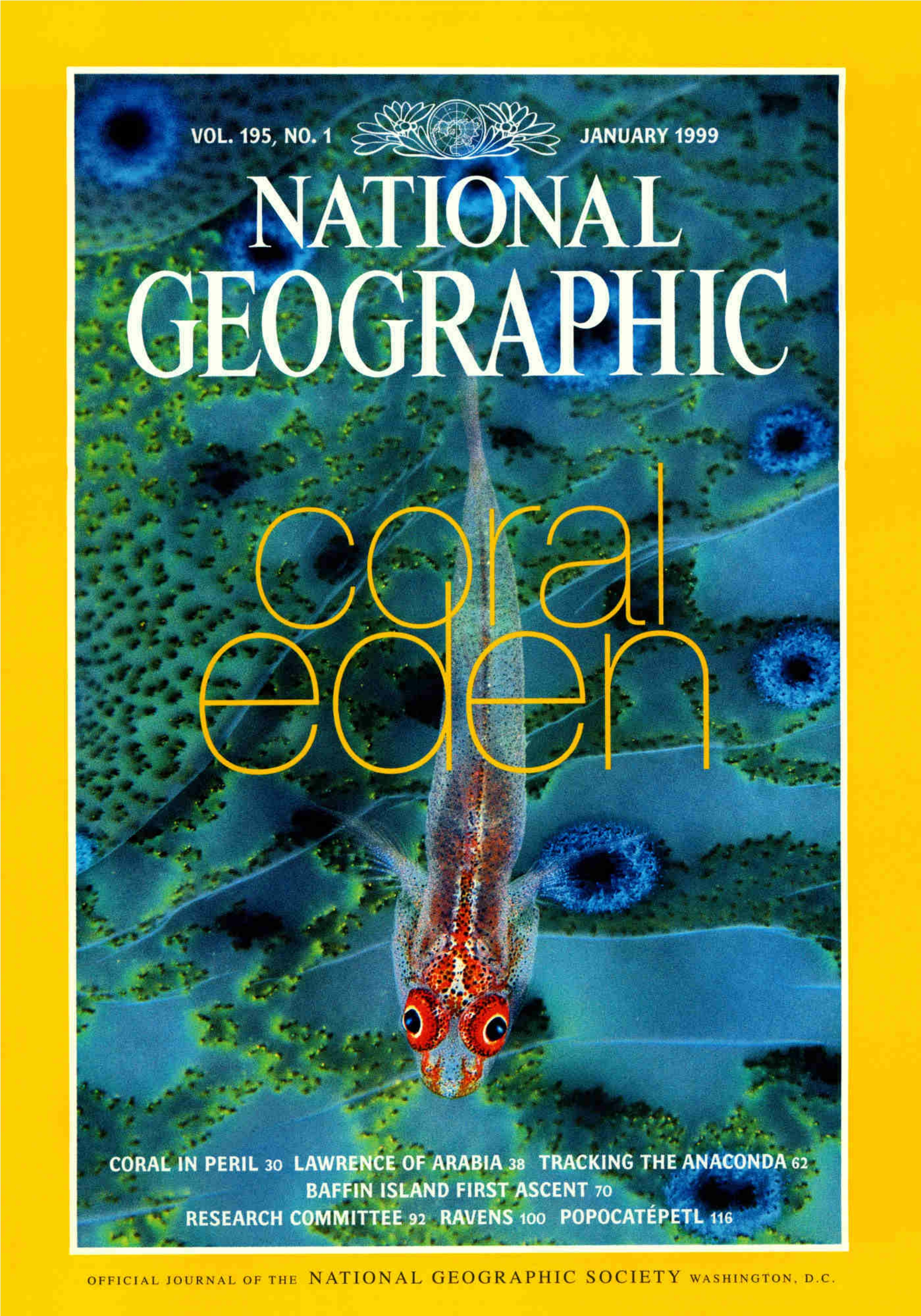 [해외잡지] National Geographic 1999-01