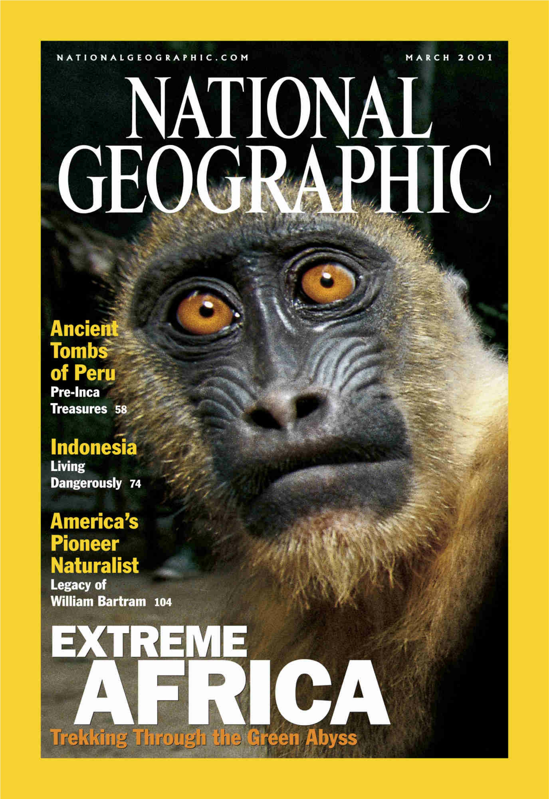 [해외잡지] National Geographic 2001-03