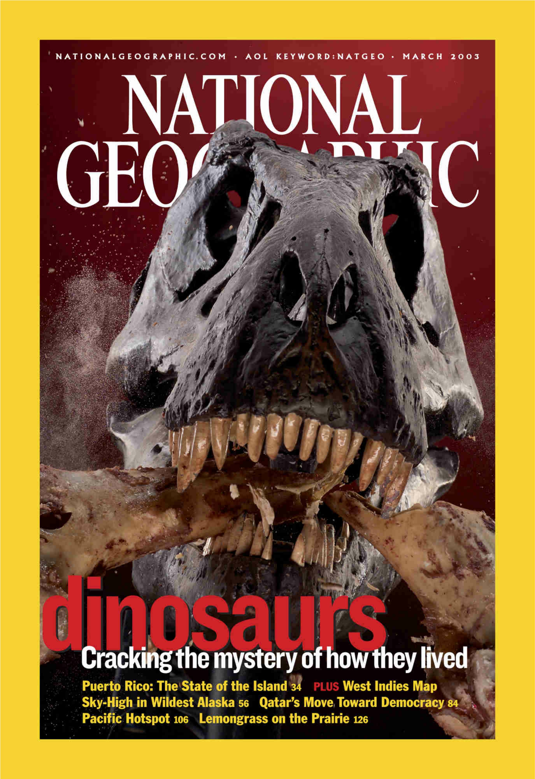 [해외잡지] National Geographic 2003-03
