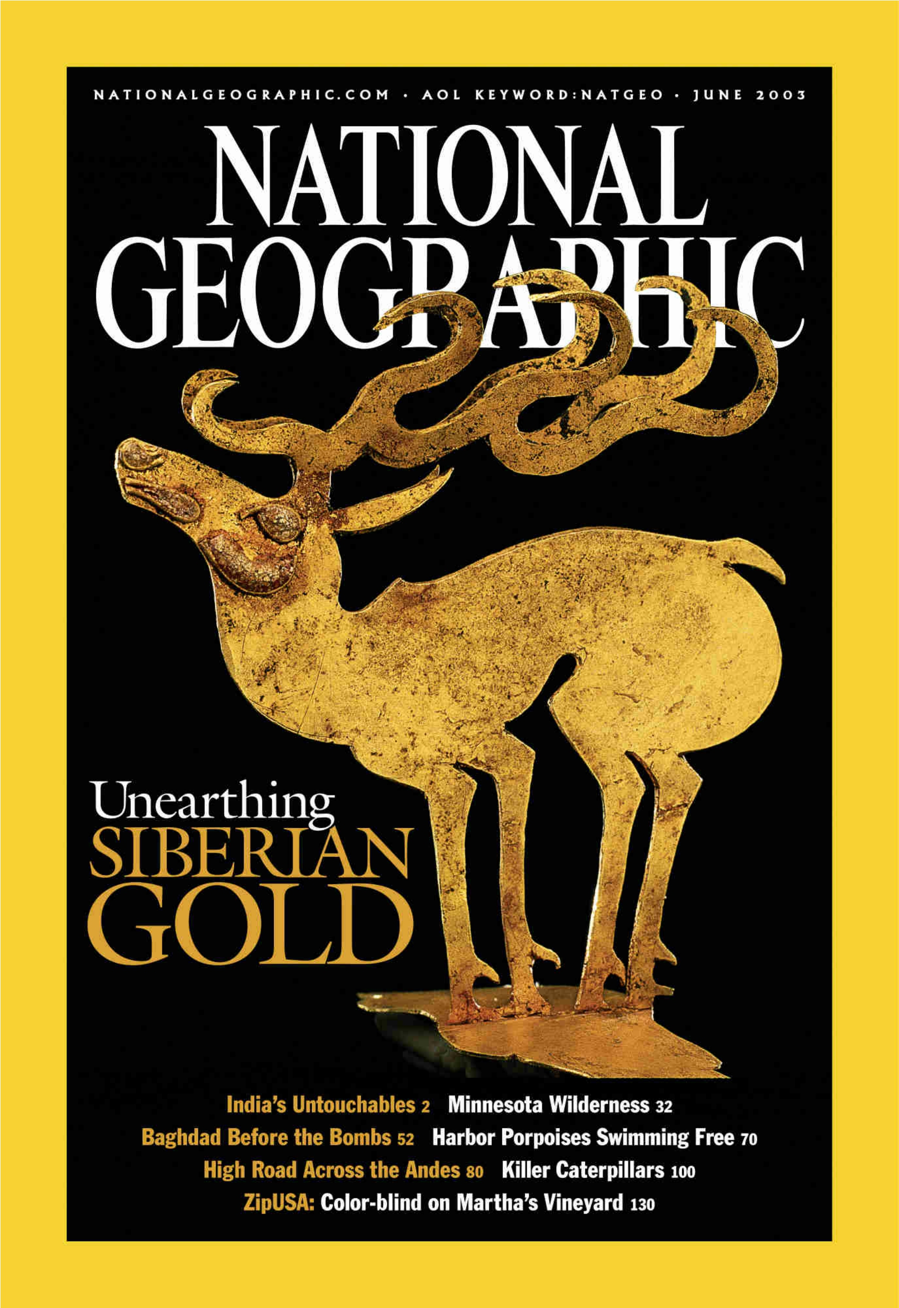 [해외잡지] National Geographic 2003-06