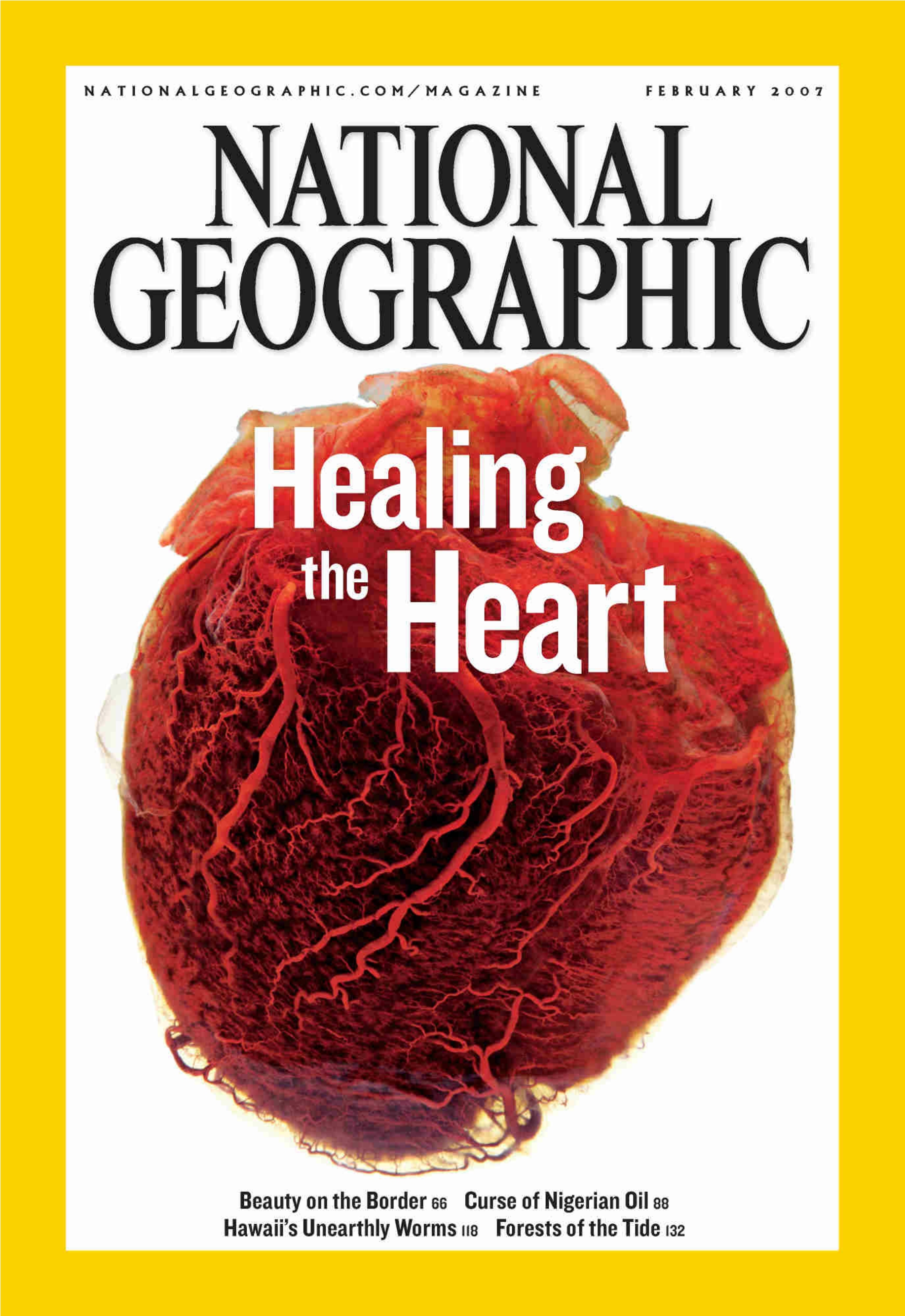 [해외잡지] National Geographic 2007-02