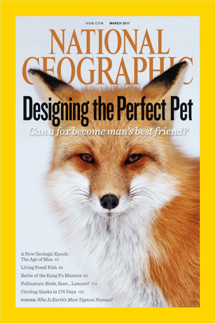 [해외잡지] National Geographic 2011 03