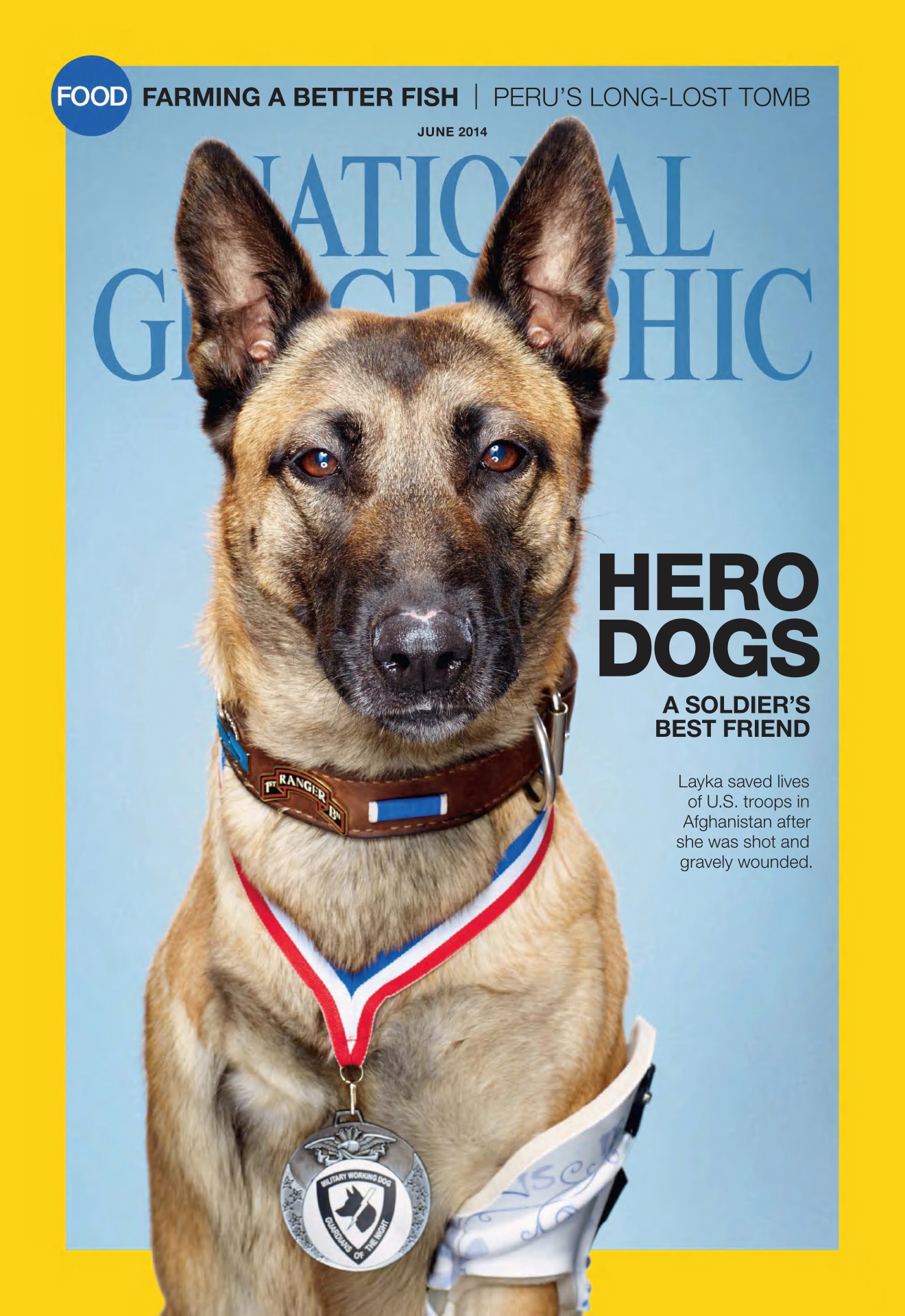 [해외잡지] National Geographic 2014 06