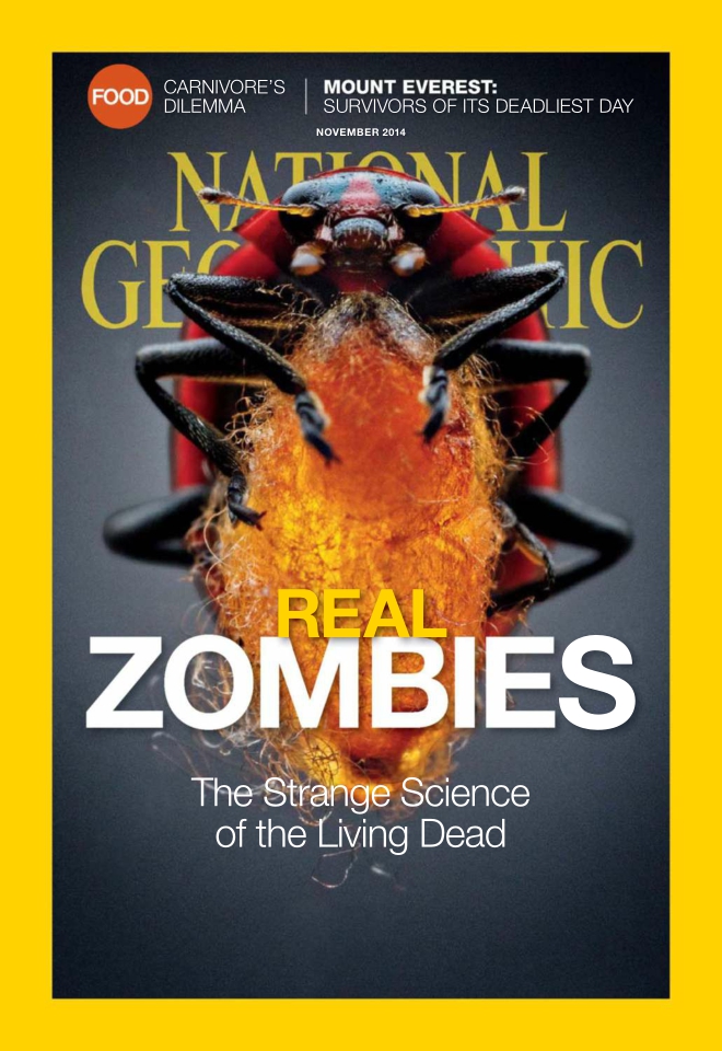[해외잡지] National Geographic 2014 11