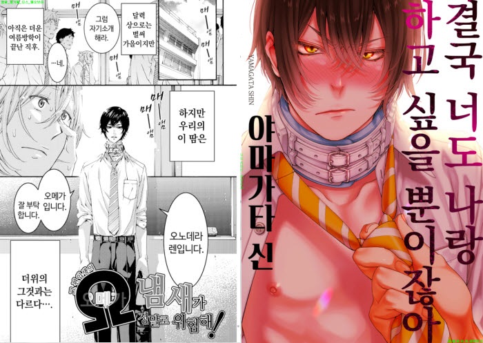 [BL만화] 야마가타 신 - 결국 너도 나랑 하고 싶을 뿐이잖아[냥면]