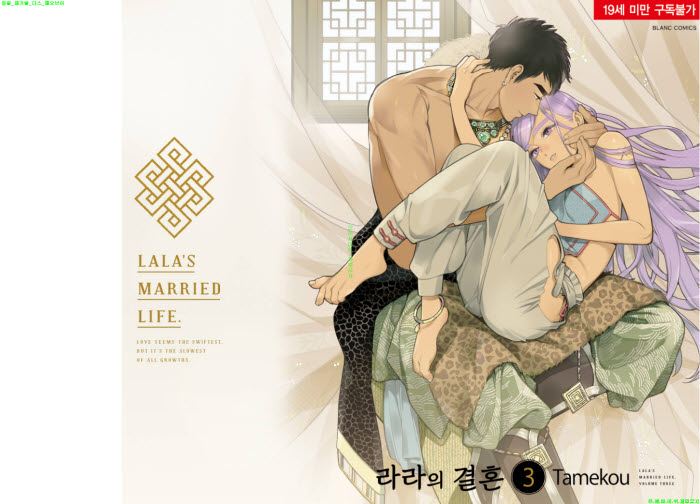 [BL만화] 타메코우 - 라라의 결혼 03권[냥면]