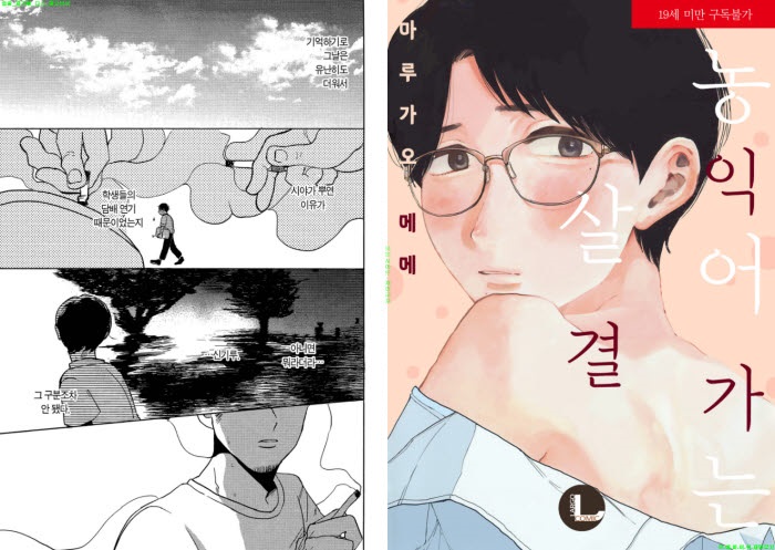 [BL만화] 마루가오 메메 - 농익어 가는 살결[냥면]