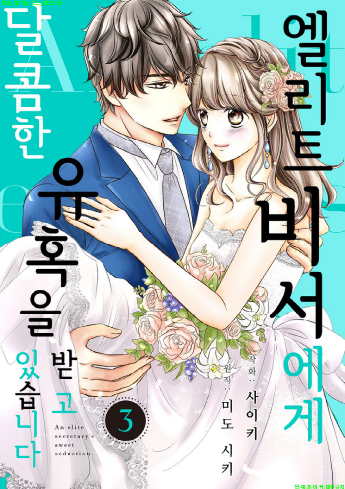 [S] 사이키 - 엘리트 비서에게 달콤한 유혹을 3권완결