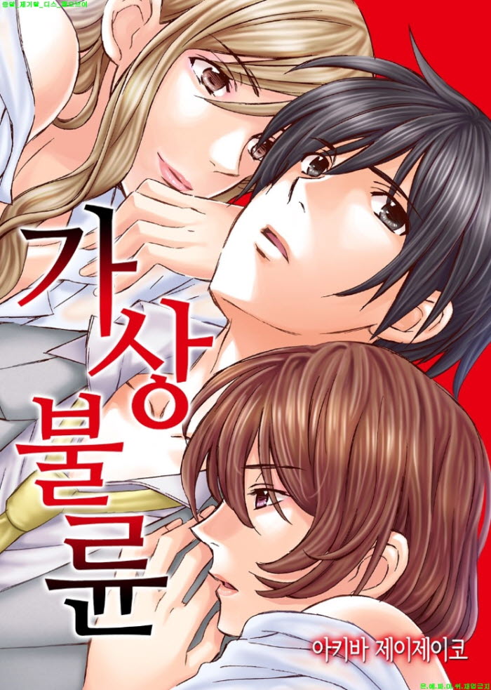 [S] 아키바 제이제이코 - 가상 불륜 01-06화