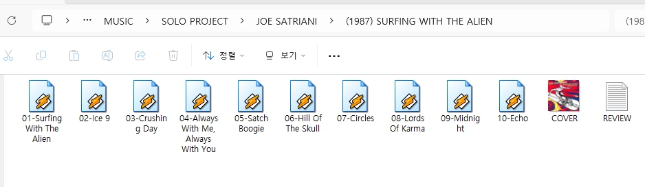 조 새트리아니(JOE SATRIANI) 모든 앨범