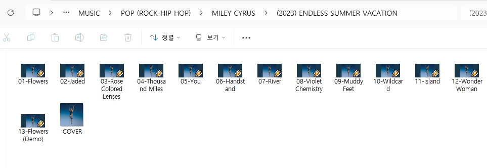 마일리 사이러스(MILEY CYRUS) [ENDLESS SUMMER] (2023)