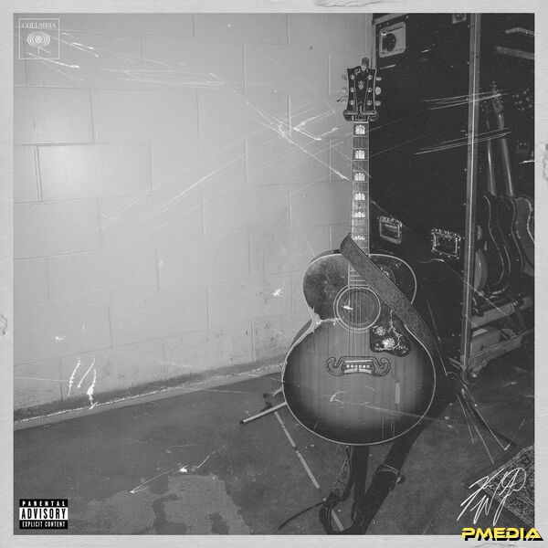 Koe Wetzel [2025 Live from the Damn Near Normal Tour] (FLAC 24..