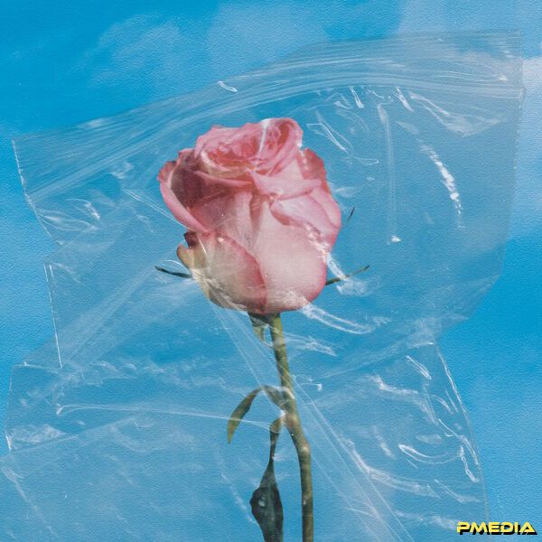 chest [2025 All Good Things End] (FLAC 24Bit-48kHz)